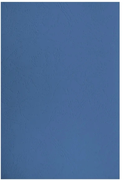 Обложки для переплёта Silwerhof Daily A4 230г/м2 синий (100шт)