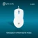 Мышь Оклик 245M белый оптическая 1000dpi USB 3but (471480) Мышь Оклик 245M белый оптическая 1000dpi USB 3but (471480)