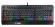 Клавиатура MSI VIGOR GK20 RU черный USB Multimedia for gamer LED (подставка для запястий) Клавиатура MSI VIGOR GK20 RU черный USB Multimedia for gamer LED (подставка для запястий)
