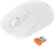 Клавиатура + мышь A4Tech Fstyler FG1012 клав:белый мышь:белый USB беспроводная Multimedia (FG1012 WHITE) Клавиатура + мышь A4Tech Fstyler FG1012 клав:белый мышь:белый USB беспроводная Multimedia (FG1012 WHITE)