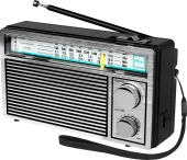 Саундбар JBL Bar1300 7.1.4 870Вт+300Вт черный