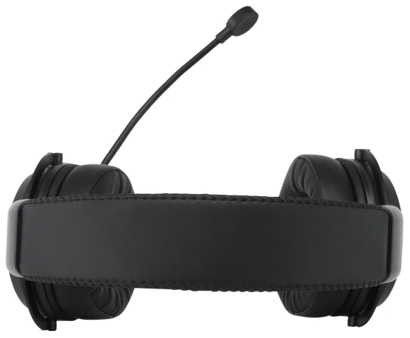 Наушники с микрофоном Acer AHW120 черный 2.1м мониторные USB оголовье (ZL.HDSCC.01C)