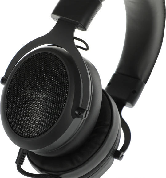 Наушники с микрофоном Acer AHW120 черный 2.1м мониторные USB оголовье (ZL.HDSCC.01C)