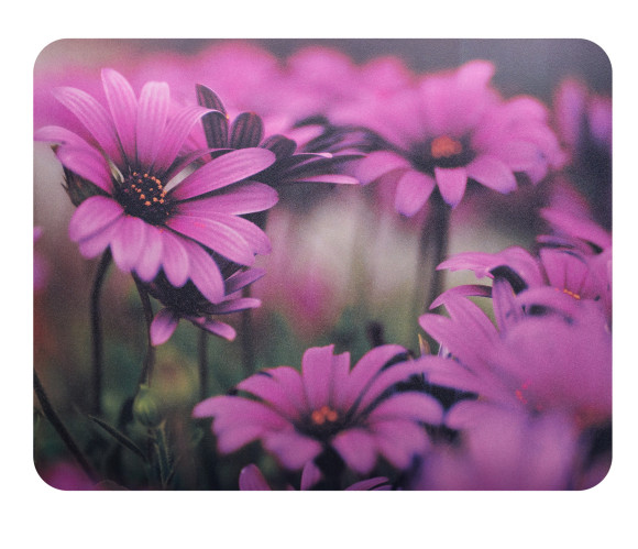 Коврик для мыши Buro BU-M20045 Мини рисунок/цветы 230x180x2мм Коврик для мыши Buro BU-M20045 Мини рисунок/цветы 230x180x2мм