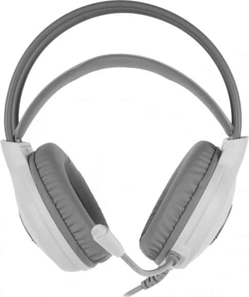 Наушники с микрофоном A4Tech Fstyler FH300U белый 2м мониторные USB оголовье (FH300U WHITE) Наушники с микрофоном A4Tech Fstyler FH300U белый 2м мониторные USB оголовье (FH300U WHITE)