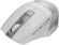 Мышь A4Tech Fstyler FG35S серебристый/белый оптическая 2000dpi silent беспров. USB 5but (FG35S USB SILVER) Мышь A4Tech Fstyler FG35S серебристый/белый оптическая 2000dpi silent беспров. USB 5but (FG35S USB SILVER)