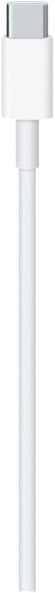 Кабель Apple MLL82ZM/A USB Type-C (m)-USB Type-C (m) 2м белый