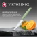 Нож кухонный Victorinox Swiss Modern (6.9006.1042) стальной универсальный лезв.100мм прямая заточка зеленый