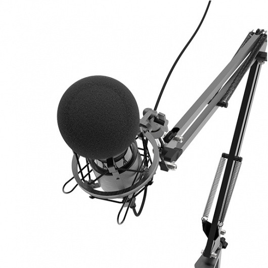 Микрофон проводной Ritmix RDM-180 2.5м черный Микрофон проводной Ritmix RDM-180 2.5м черный