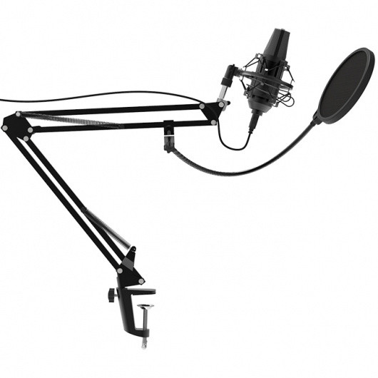 Микрофон проводной Ritmix RDM-180 2.5м черный Микрофон проводной Ritmix RDM-180 2.5м черный
