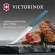 Нож кухонный Victorinox Swiss Modern (6.9006.122) стальной столовый для стейка лезв.120мм прямая заточка синий Нож кухонный Victorinox Swiss Modern (6.9006.122) стальной столовый для стейка лезв.120мм прямая заточка синий