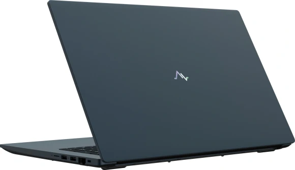 Ноутбук Maibenben M17A-R343UM Ryzen 3 4300U 8Gb SSD512Gb AMD Radeon Graphics 17.3" IPS FHD (1920x1080) Windows 11 Home blue WiFi BT Cam 3896mAh (M17A-R343UM0B14HU4EB0)