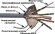 Кабель информационный Lanmaster TWT-6FTP-GY кат.6 FTP 4 пары 23AWG PVC 305м серый Кабель информационный Lanmaster TWT-6FTP-GY кат.6 FTP 4 пары 23AWG PVC 305м серый