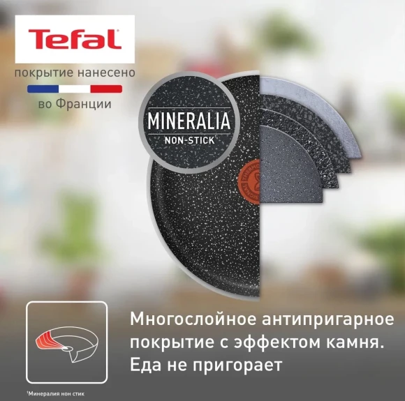 Сковорода блинная Tefal Rock 04235525 круглая 25см покрытие: Mineralia ручка несъемная (без крышки) черный Сковорода блинная Tefal Rock 04235525 круглая 25см покрытие: Mineralia ручка несъемная (без крышки) черный