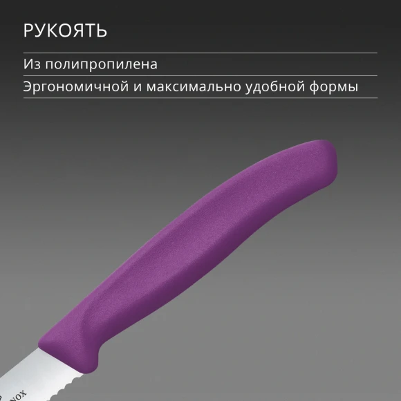 Нож кухонный Victorinox Swiss Classic (6.7835.C1) стальной столовый для овощей лезв.110мм серрейт. заточка пурпурный