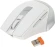 Клавиатура + мышь A4Tech Fstyler FB2535C клав:белый/серый мышь:белый/серый USB беспроводная Bluetooth/Радио slim (FB2535C ICY WHITE) Клавиатура + мышь A4Tech Fstyler FB2535C клав:белый/серый мышь:белый/серый USB беспроводная Bluetooth/Радио slim (FB2535C ICY WHITE)