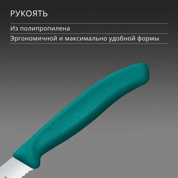 Нож кухонный Victorinox Swiss Classic (6.7834.C1) стальной столовый для овощей лезв.110мм серрейт. заточка зеленый