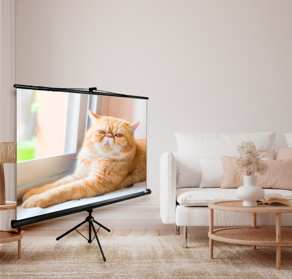 Экран Cactus 127x127см Triscreen CS-PST-127X127 1:1 напольный рулонный черный Экран Cactus 127x127см Triscreen CS-PST-127X127 1:1 напольный рулонный черный