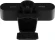 Камера Web A4Tech PK-1000HA черный 8Mpix (3840x2160) USB2.0 с микрофоном Камера Web A4Tech PK-1000HA черный 8Mpix (3840x2160) USB2.0 с микрофоном