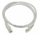 Патч-корд Lanmaster TWT-45-45-1.5/6-GY UTP RJ-45 вил.-вилка RJ-45 кат.6 1.5м серый ПВХ (уп.:1шт) Патч-корд Lanmaster TWT-45-45-1.5/6-GY UTP RJ-45 вил.-вилка RJ-45 кат.6 1.5м серый ПВХ (уп.:1шт)