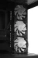 Корпус Accord ACC-ZA11B AR черный без БП ATX 3x120mm 1xUSB2.0 2xUSB3.0 audio bott PSU