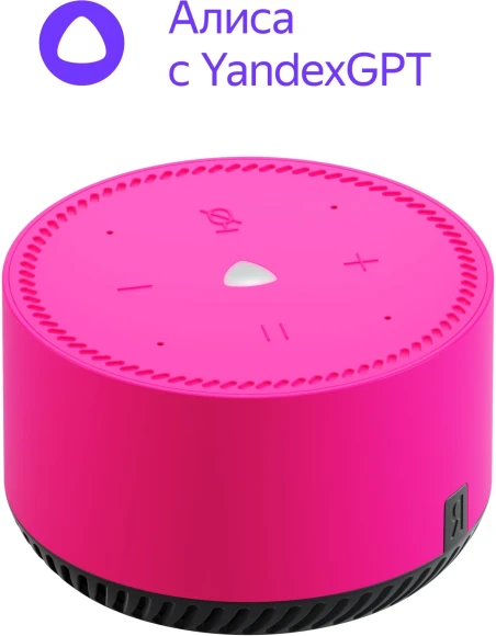 Умная колонка Yandex Станция Лайт Алиса розовый 5W 1.0 BT 10м (YNDX-00025N) Умная колонка Yandex Станция Лайт Алиса розовый 5W 1.0 BT 10м (YNDX-00025N)