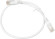 Патч-корд Lanmaster TWT-45-45-0.5-WH UTP RJ-45 вил.-вилка RJ-45 кат.5E 0.5м белый ПВХ (уп.:1шт) Патч-корд Lanmaster TWT-45-45-0.5-WH UTP RJ-45 вил.-вилка RJ-45 кат.5E 0.5м белый ПВХ (уп.:1шт)