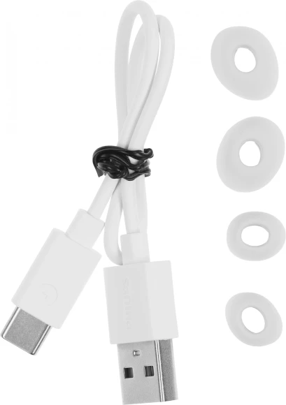 Гарнитура внутриканальные Philips TAT3508WT/00 белый беспроводные bluetooth в ушной раковине Гарнитура внутриканальные Philips TAT3508WT/00 белый беспроводные bluetooth в ушной раковине