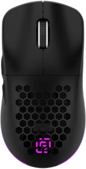 Мышь Оклик 900GMW черный оптическая 26000dpi беспров. BT/Radio USB 6but (1796786)