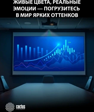 Проектор Cactus Bright CS-S4.WT 3LCD 94400Lm LS 5900Lm ANSI (1920x1200) 30000:1 ресурс лампы:10000часов 1xUSB typeA 1xUSB typeB 2xHDMI 4.45кг