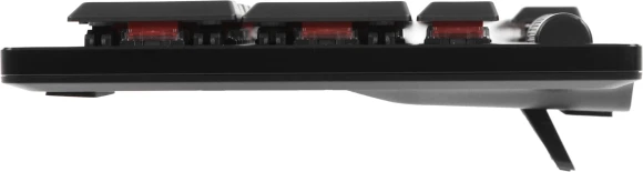 Клавиатура Razer DeathStalker V2 Pro механическая черный USB беспроводная BT/Radio Multimedia for gamer LED (RZ03-04360800-R3R1) Клавиатура Razer DeathStalker V2 Pro механическая черный USB беспроводная BT/Radio Multimedia for gamer LED (RZ03-04360800-R3R1)