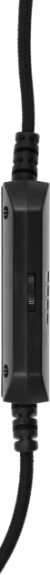 Наушники с микрофоном A4Tech Bloody G570 черный/серый 2м мониторные USB оголовье (G570 (BLACK+GREY) USB) Наушники с микрофоном A4Tech Bloody G570 черный/серый 2м мониторные USB оголовье (G570 (BLACK+GREY) USB)