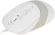 Мышь A4Tech Fstyler FM10 белый/серый оптическая 1600dpi USB 4but (FM10 WHITE) Мышь A4Tech Fstyler FM10 белый/серый оптическая 1600dpi USB 4but (FM10 WHITE)