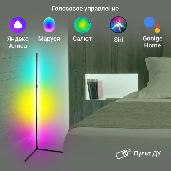 Умный светильник Digma FloorLight FL11 напол. черный (FL11)