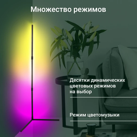 Умный светильник Digma FloorLight FL11 напол. черный (FL11)