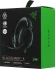 Наушники с микрофоном Razer Blackshark V2 X черный 1.3м мониторные оголовье (RZ04-03240100-R3M1)