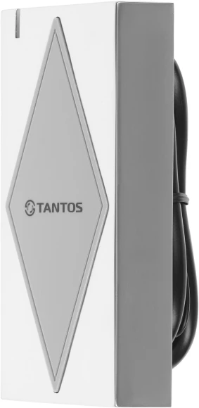 Считыватель карт Tantos TS-RDR-EHMF (00-00037428) уличный антивандальный Считыватель карт Tantos TS-RDR-EHMF (00-00037428) уличный антивандальный