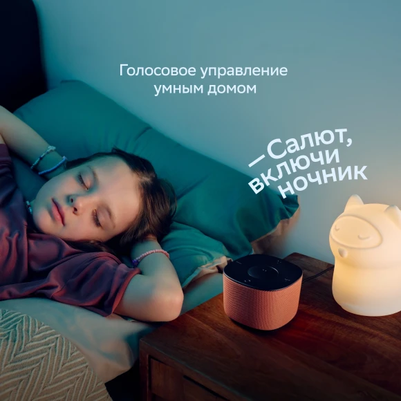 Умная колонка Sber Boom Home SBDV-00171G Салют серый 8W Mono BT/Wi-Fi (без.бат) Умная колонка Sber Boom Home SBDV-00171G Салют серый 8W Mono BT/Wi-Fi (без.бат)