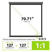 Экран Cactus 127x127см Wallscreen CS-PSW-127X127-SG 1:1 настенно-потолочный рулонный серый Экран Cactus 127x127см Wallscreen CS-PSW-127X127-SG 1:1 настенно-потолочный рулонный серый