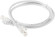 Патч-корд ITK PC01-C5EU-1M-G UTP RJ-45 вил.-вилка RJ-45 кат.5E 1м серый ПВХ (уп.:1шт) Патч-корд ITK PC01-C5EU-1M-G UTP RJ-45 вил.-вилка RJ-45 кат.5E 1м серый ПВХ (уп.:1шт)