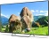 Телевизор LED PolarLine 65" 65PU51TC-SM черный 4K Ultra HD 60Hz DVB-T DVB-T2 DVB-C DVB-S2 USB WiFi Smart TV (RUS)