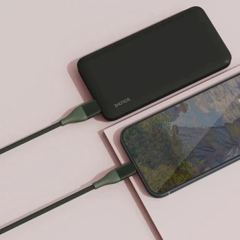 Кабель ZMI DW3 DW3 GREEN RUS USB Type-C (m)-USB Type-C (m) 1м зеленый Bulk (упак.:1шт)