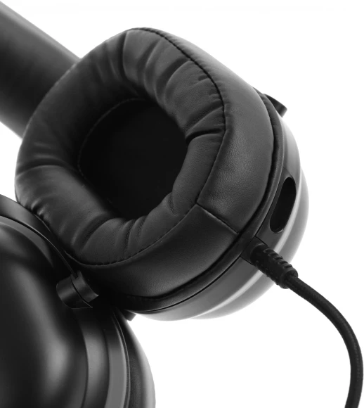 Наушники с микрофоном Acer AHW122 черный 2.1м мониторные USB оголовье (ZL.HDSCC.01U)