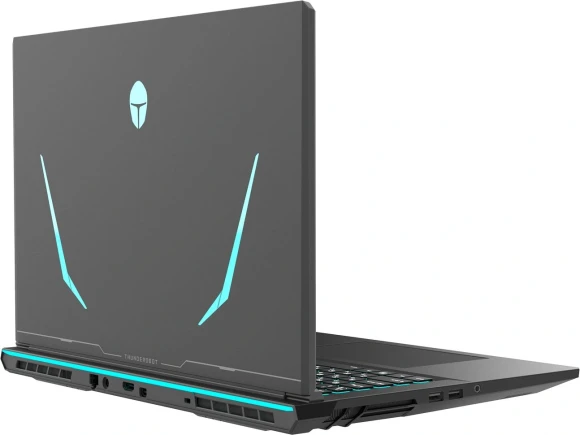 Ноутбук Thunderobot Range 17 G2A Max Ryzen 7 H255 32Gb SSD1Tb NVIDIA GeForce RTX 5070 8Gb 17.3" IPS QHD (2560x1440) Windows 11 Pro black WiFi BT Cam (JT009Z00QRU)