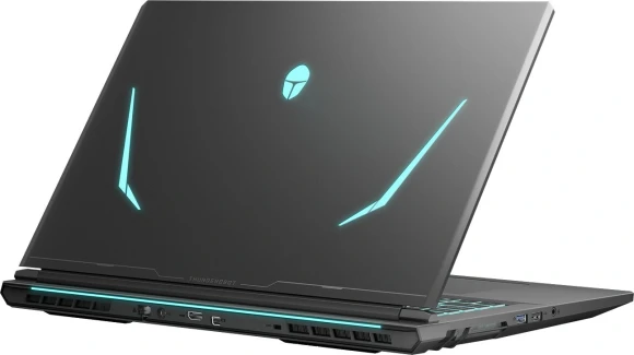Ноутбук Thunderobot Range 17 G2A Max Ryzen 7 H255 32Gb SSD1Tb NVIDIA GeForce RTX 5070 8Gb 17.3" IPS QHD (2560x1440) Windows 11 Pro black WiFi BT Cam (JT009Z00QRU)