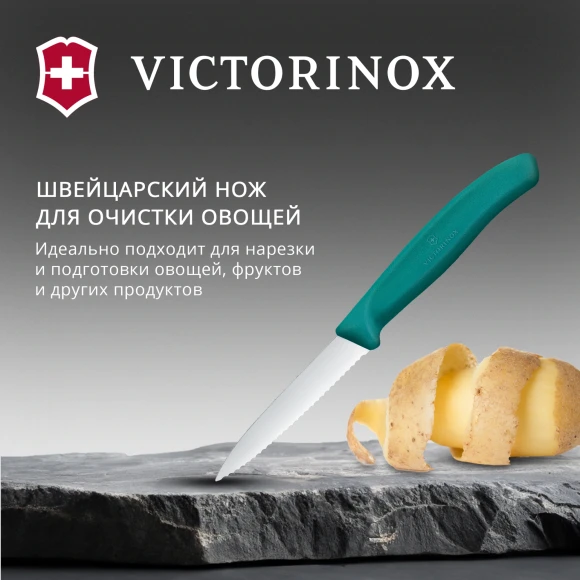 Нож кухонный Victorinox Swiss Classic (6.7634.C1) для чистки овощей и фруктов лезв.80мм серрейт. заточка зеленый