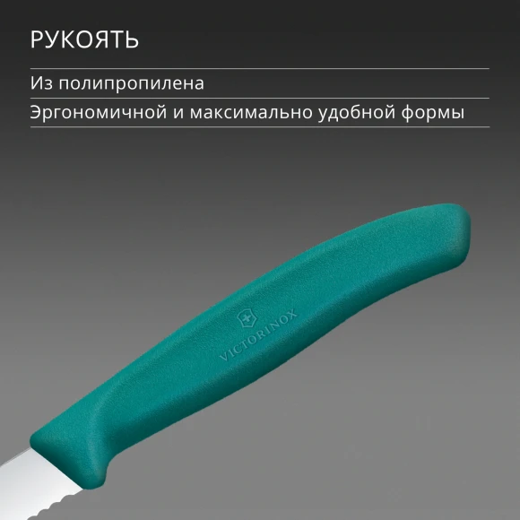 Нож кухонный Victorinox Swiss Classic (6.7634.C1) для чистки овощей и фруктов лезв.80мм серрейт. заточка зеленый