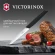 Нож кухонный Victorinox Swiss Modern (6.9003.10) стальной универсальный лезв.100мм прямая заточка черный Нож кухонный Victorinox Swiss Modern (6.9003.10) стальной универсальный лезв.100мм прямая заточка черный