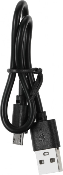 Мобильный аккумулятор Cactus CS-PBFSPT-10000 10000mAh 2.1A 2xUSB-A черный Мобильный аккумулятор Cactus CS-PBFSPT-10000 10000mAh 2.1A 2xUSB-A черный