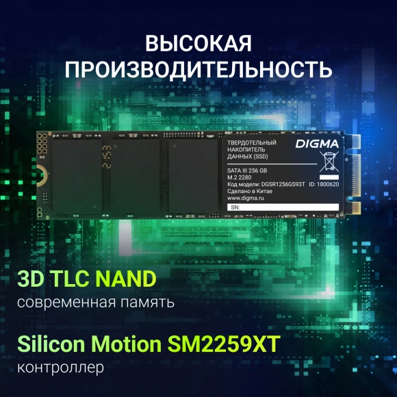 Накопитель SSD Digma SATA-III 256GB DGSR1256GS93T Run S9 M.2 2280